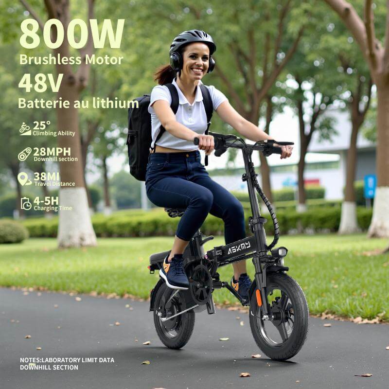 Foldable Electric Bike of E14: 800W Peak Motor 14" Tubeless Tires
