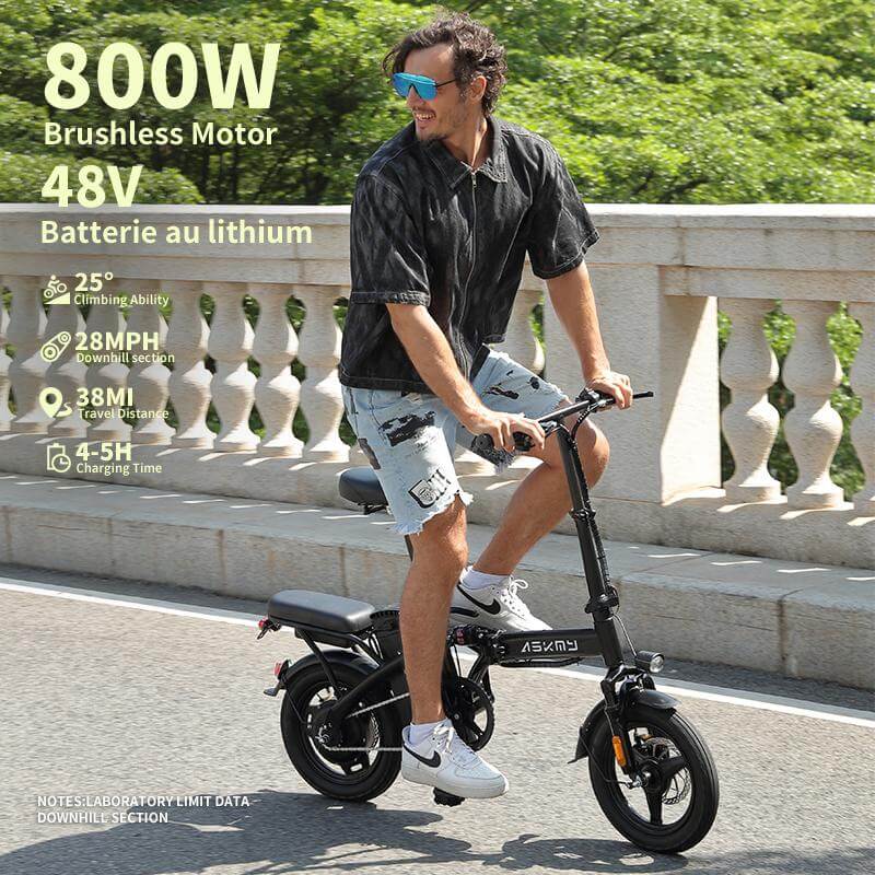 Foldable Electric Bike of E14: 800W Peak Motor 14" Tubeless Tires