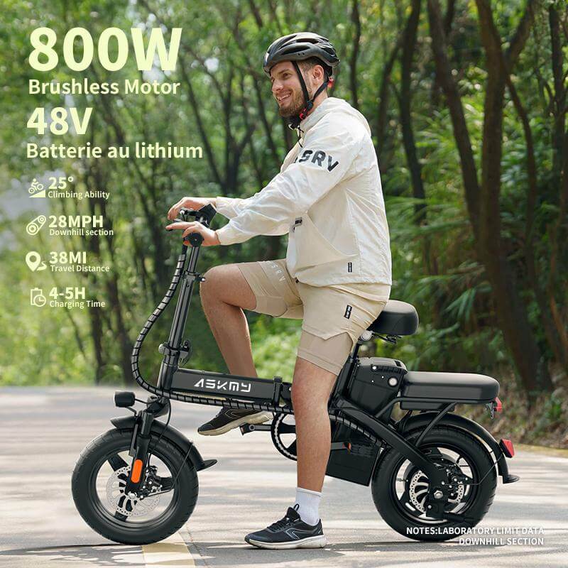 Foldable Electric Bike of E14: 800W Peak Motor 14" Tubeless Tires