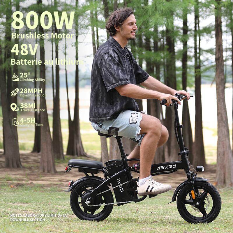 Foldable Electric Bike of E14: 800W Peak Motor 14" Tubeless Tires